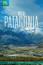 Watch Wild Patagonia 123netflix