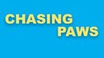 Watch Chasing Paws (Short 2020) 123netflix