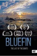 Watch Bluefin 123netflix