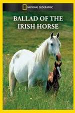 Watch Ballad of the Irish Horse 123netflix