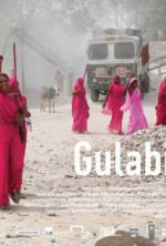 Watch Gulabi Gang 123netflix