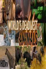 Watch National Geographic - Worlds Deadliest Animal Battles 123netflix