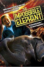 Watch The Incredible Elephant 123netflix
