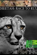 Watch Cheetah: Race to Rule 123netflix