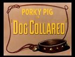 Watch Dog Collared (Short 1950) 123netflix