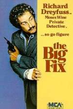 Watch The Big Fix 123netflix