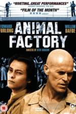 Watch Animal Factory 123netflix
