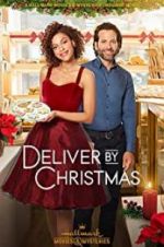 Watch Deliver by Christmas 123netflix