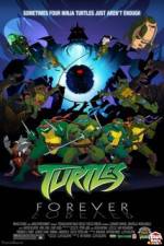 Watch Teenage Mutant Ninja Turtles Turtles Forever 123netflix