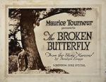 Watch The Broken Butterfly 123netflix