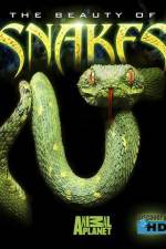 Watch The Beauty of Snakes 123netflix