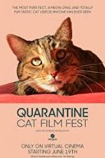 Watch Quarantine Cat Film Fest 123netflix