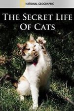 Watch The Secret Life of Cats 123netflix