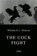 Watch The Cock Fight 123netflix