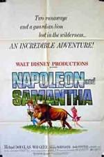 Watch Napoleon and Samantha 123netflix