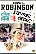 Watch Brother Orchid 123netflix