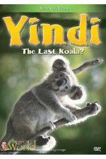 Watch Yindi the Last Koala 123netflix