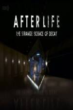 Watch After Life: The strange Science Of Decay 123netflix