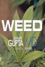 Watch CNN Weed Sanjay Gupta Report 123netflix