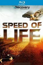 Watch Speed of Life 123netflix