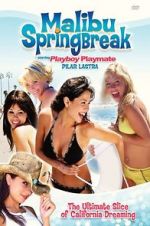 Watch Malibu Spring Break 123netflix