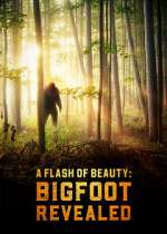 Watch A Flash of Beauty: Bigfoot Revealed 123netflix
