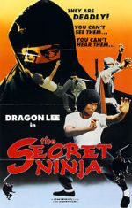 Watch Secret Ninja 123netflix