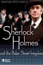 Watch Sherlock Holmes and the Baker Street Irregulars 123netflix