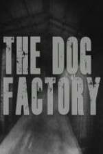 Watch The Dog Factory 123netflix