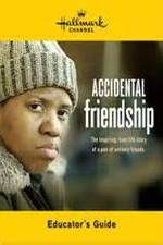 Watch Accidental Friendship 123netflix