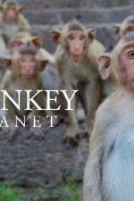 Watch Monkey Planet 123netflix