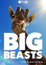 Watch Big Beasts 123netflix