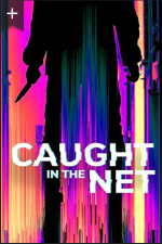 caught in the net tv poster