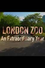 Watch London Zoo: An Extraordinary Year 123netflix