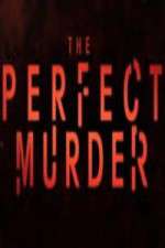 Watch The Perfect Murder 123netflix