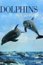 Watch Dolphins: Spy in the Pod 123netflix