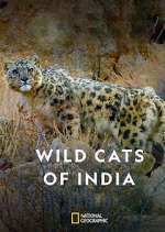 Watch Wild Cats of India 123netflix