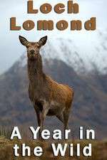 Watch Loch Lomond: A Year in the Wild 123netflix