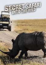 Watch Secret Safari: Into the Wild 123netflix