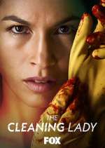 The Cleaning Lady 123netflix