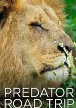 Watch Predator Road Trip 123netflix