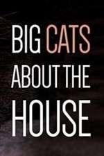 Watch Big Cats About the House 123netflix