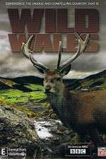 Watch Wild Wales 123netflix