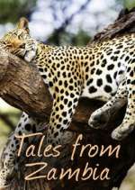 Watch Tales from Zambia 123netflix