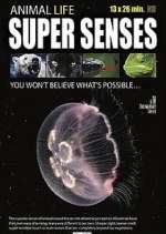 Watch Super Senses 123netflix