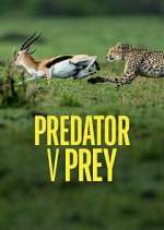Watch Predator v Prey 123netflix