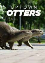 Watch Uptown Otters 123netflix
