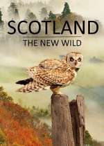 scotland - the new wild tv poster