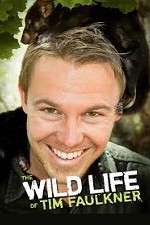 Watch The Wild Life of Tim Faulkner 123netflix