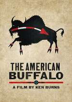 Watch The American Buffalo 123netflix